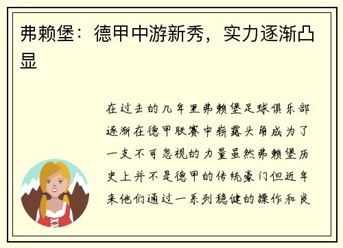 弗赖堡：德甲中游新秀，实力逐渐凸显