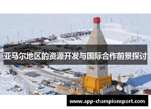 亚马尔地区的资源开发与国际合作前景探讨